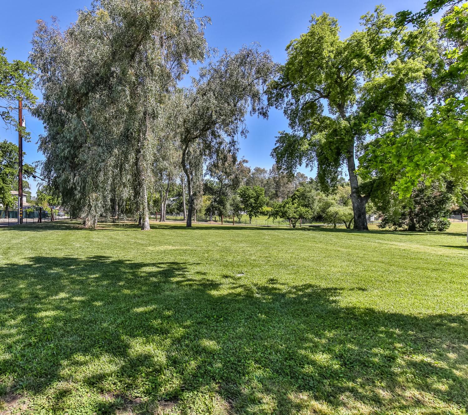 Dias Lane, Loomis, California image 7