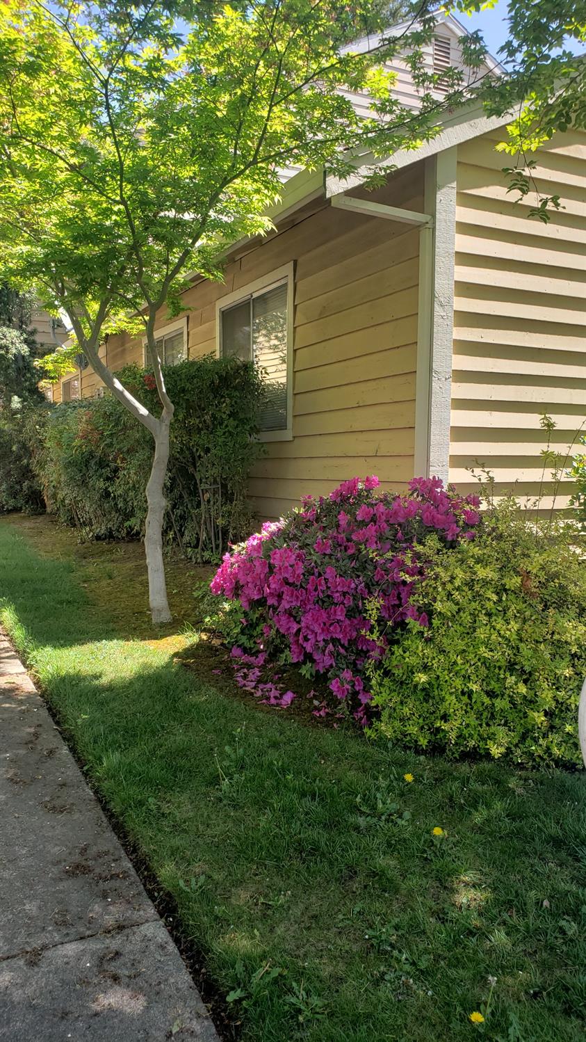 Fair Oaks Boulevard #111, Fair Oaks, California image 31