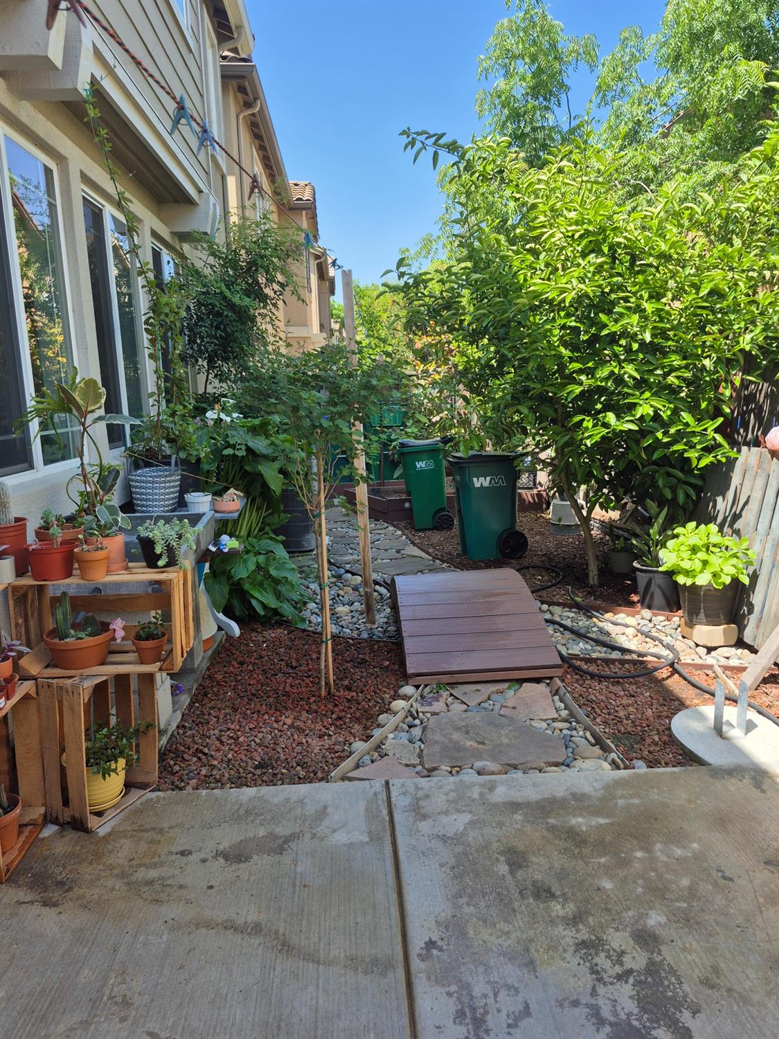 Sweet Lilac Way, Stockton, California image 28