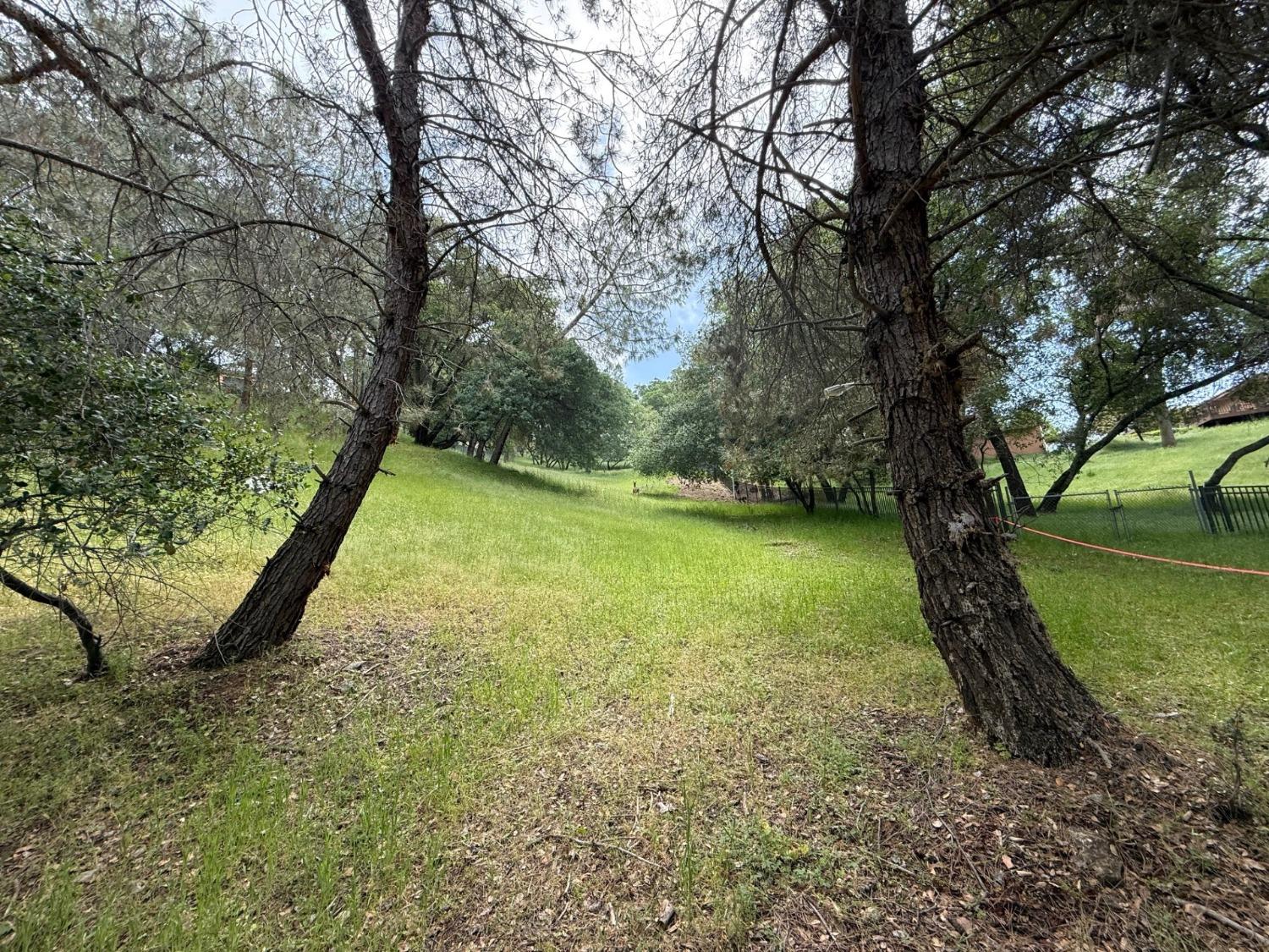 Castec Way, El Dorado Hills, California image 10