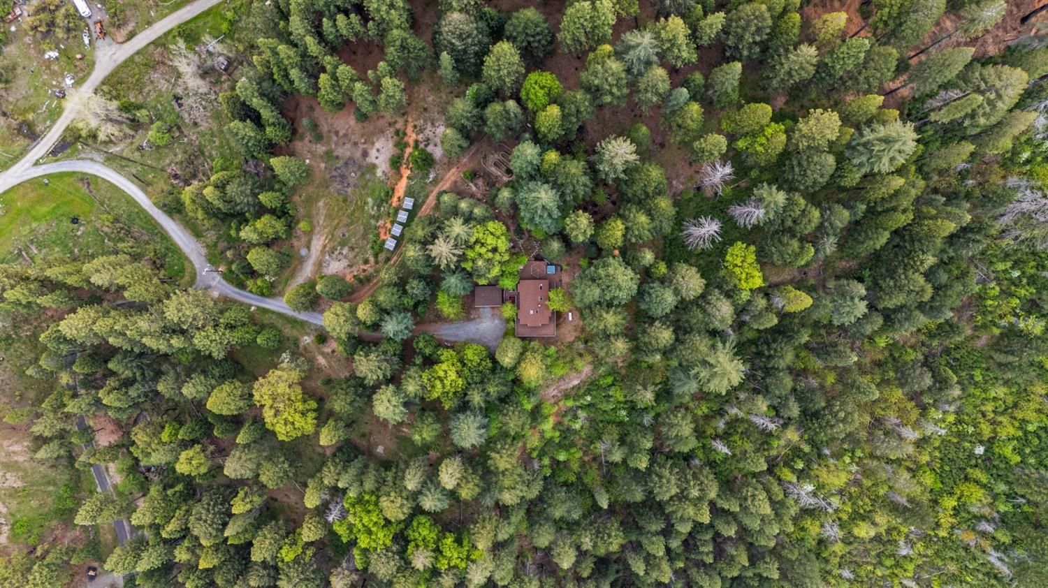 Deep Haven Road, Pollock Pines, California image 50