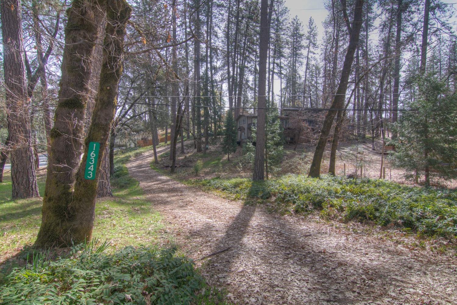 Rattlesnake Road, Grass Valley, California image 21
