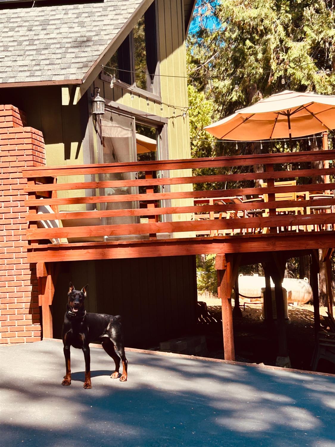 Lakeridge Drive, Pollock Pines, California image 28