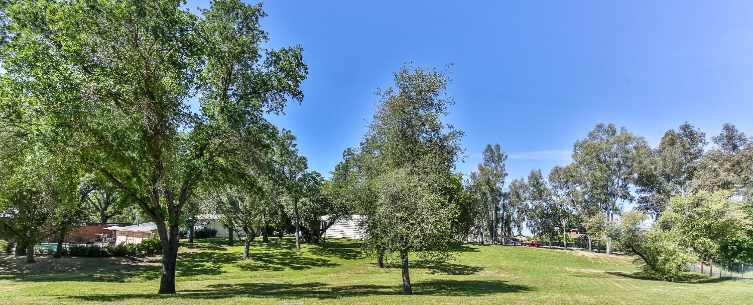 Dias Lane, Loomis, California image 10