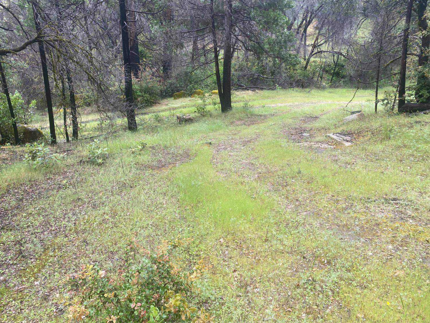 Hecker Way, Oroville, California image 9