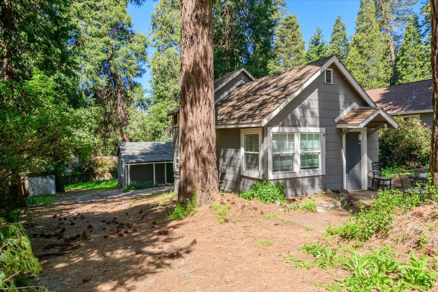Alder Drive, Camino, California image 19