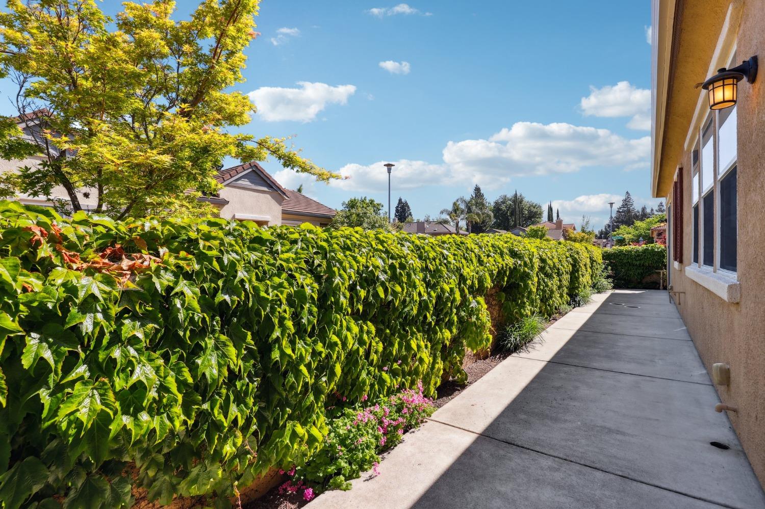 Detail Gallery Image 36 of 41 For 8040 Linda Isle Ln, Sacramento,  CA 95831 - 3 Beds | 2 Baths