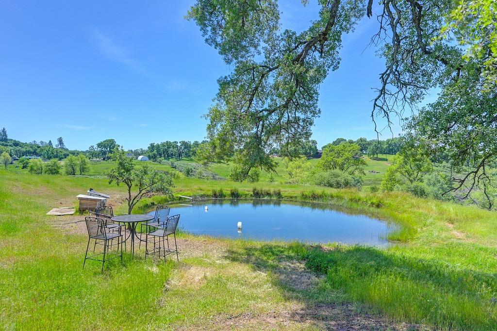 Meadow View Lane, Auburn, California image 12