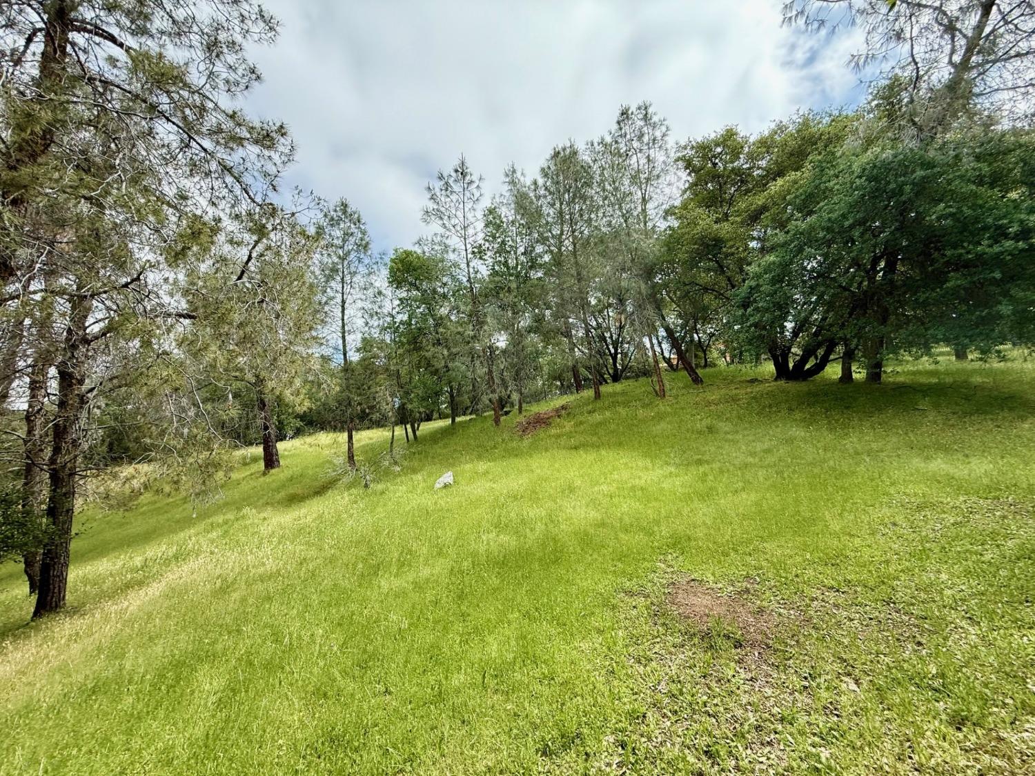Castec Way, El Dorado Hills, California image 7