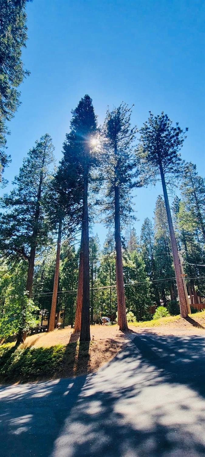 Lakeridge Drive, Pollock Pines, California image 33