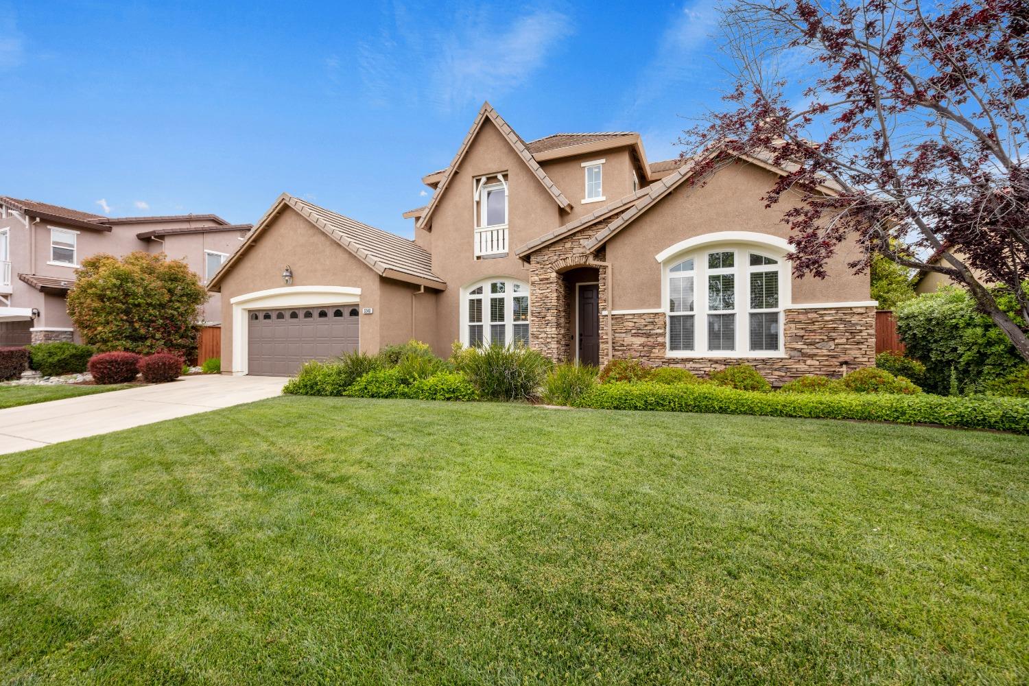Black Oak, Rocklin, California image 2