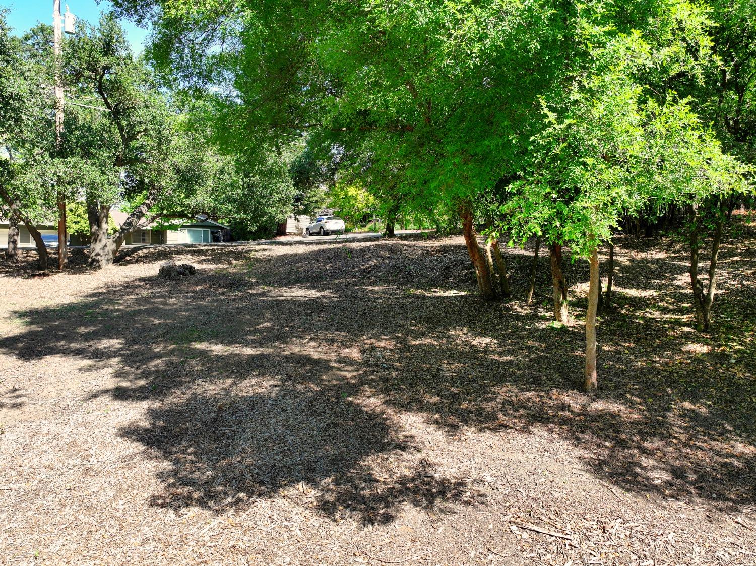 Ridge Street, Fair Oaks, California image 16