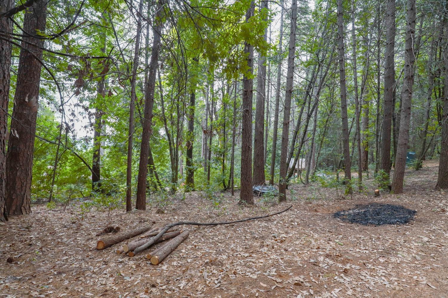 Long Point Road, Nevada City, California image 4