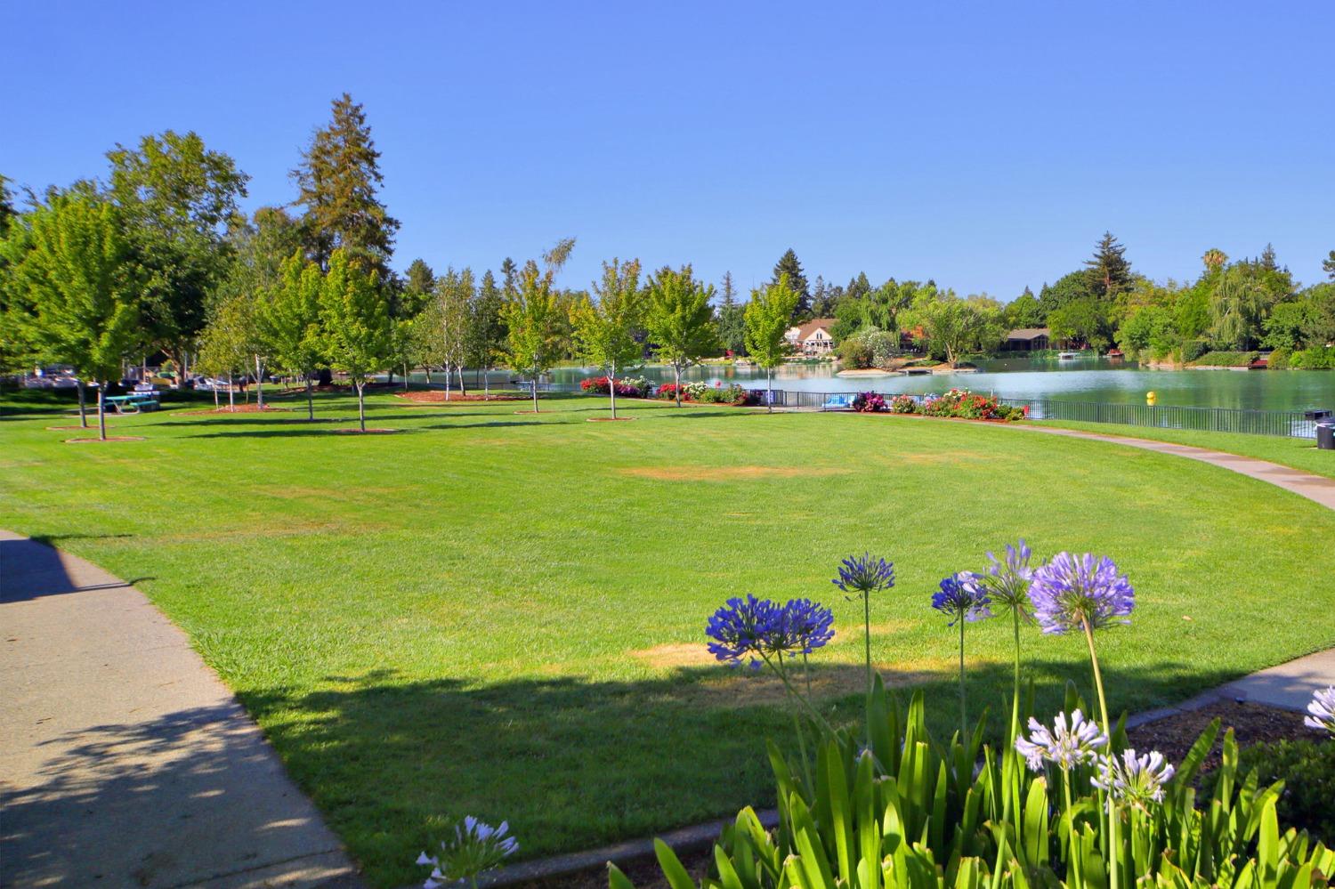 Lake Terrace Circle, Davis, California image 46