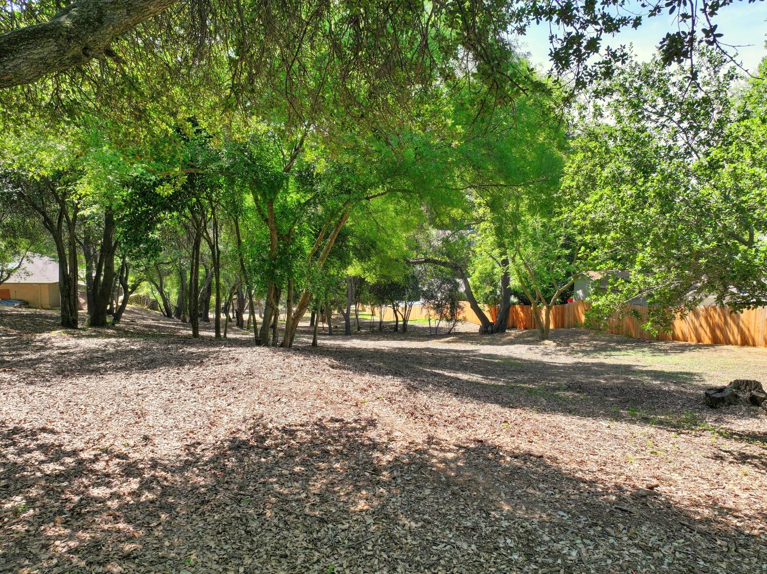 Ridge Street, Fair Oaks, California image 14