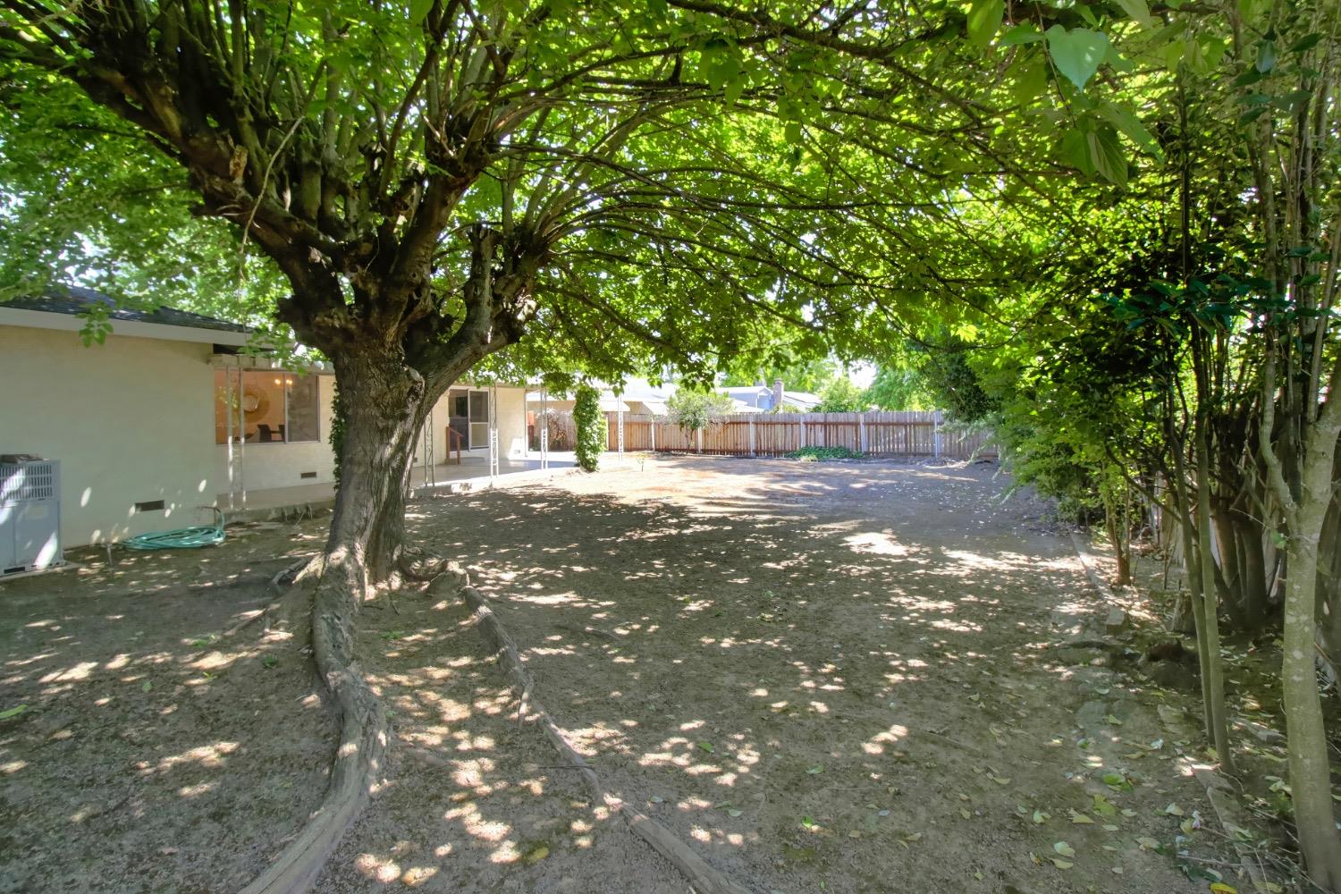Garfield Avenue, Carmichael, California image 39