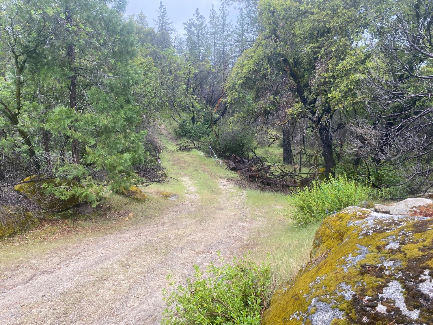 Hecker Way, Oroville, California image 10