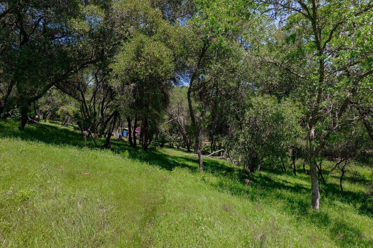 Detail Gallery Image 55 of 67 For 4460 Fawn St, Shingle Springs,  CA 95682 - 4 Beds | 3 Baths