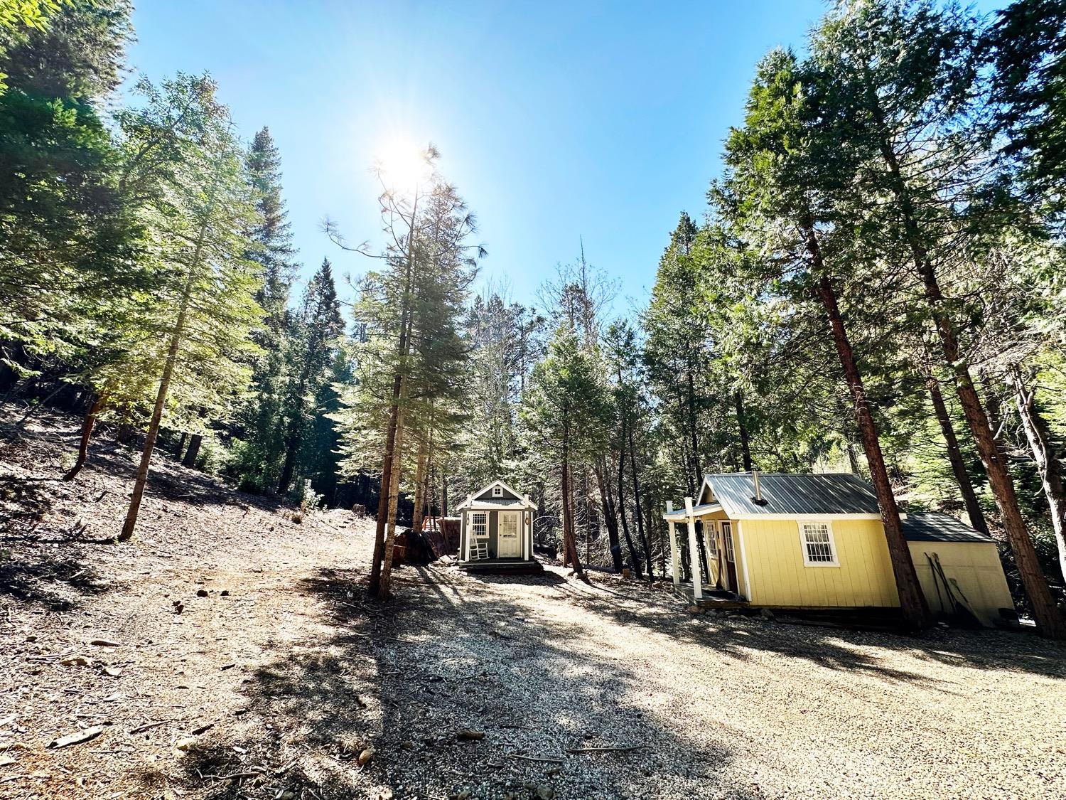 Inspiration Drive, Pioneer, California image 6