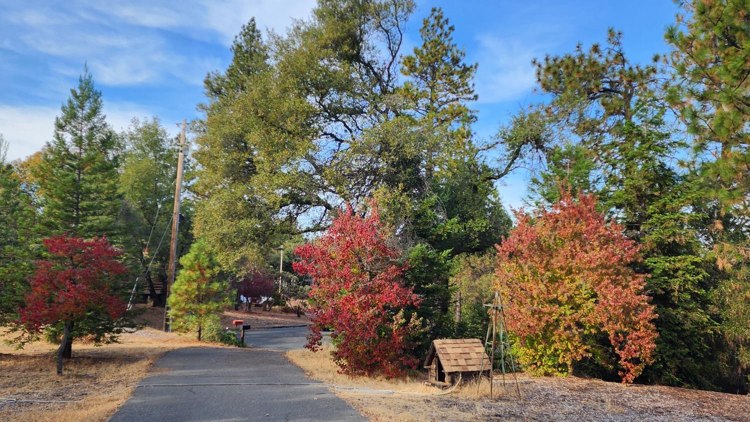 Hilltop Court, Applegate, California image 13
