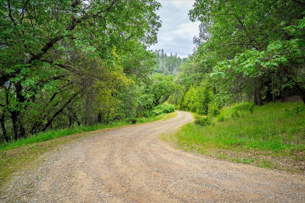 Bear Rock Road, Placerville, California image 39
