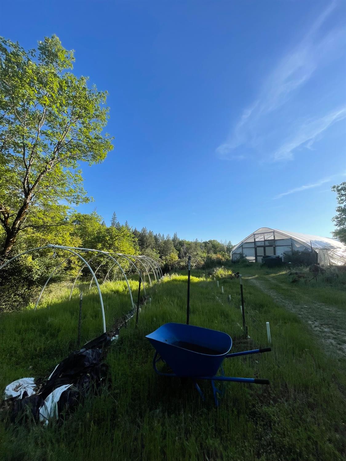 Detail Gallery Image 37 of 51 For 15003 Alleghany Rd, Camptonville,  CA 95922 - 1 Beds | 1 Baths