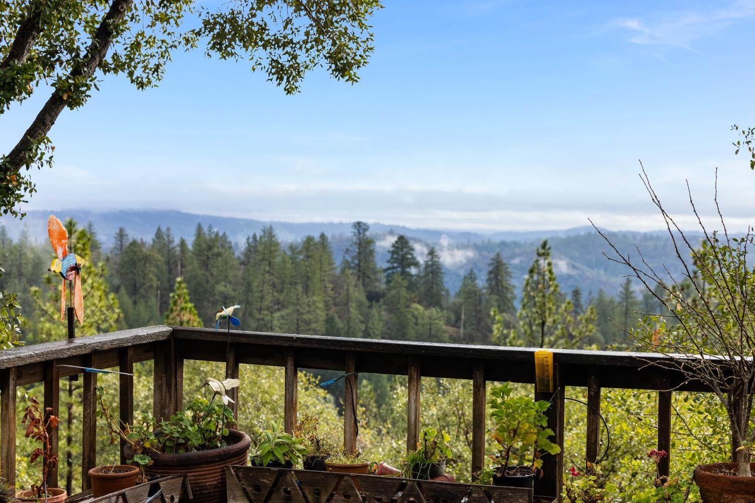 Hilltop Court, Applegate, California image 21