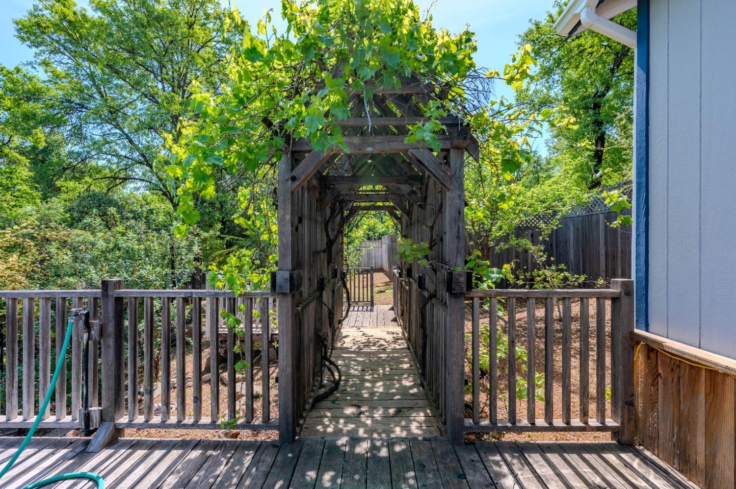 Wolf Road, Grass Valley, California image 46