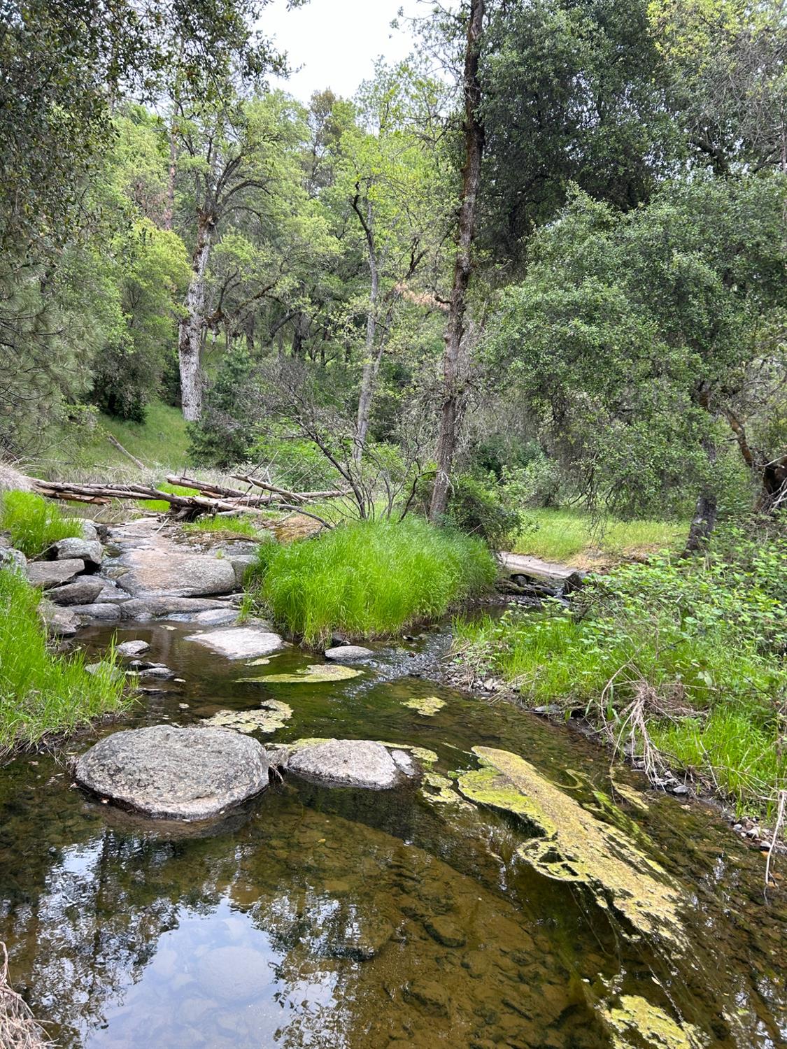 Detail Gallery Image 91 of 97 For 6909 Flat Creek Rd, Somerset,  CA 95684 - 3 Beds | 2/1 Baths