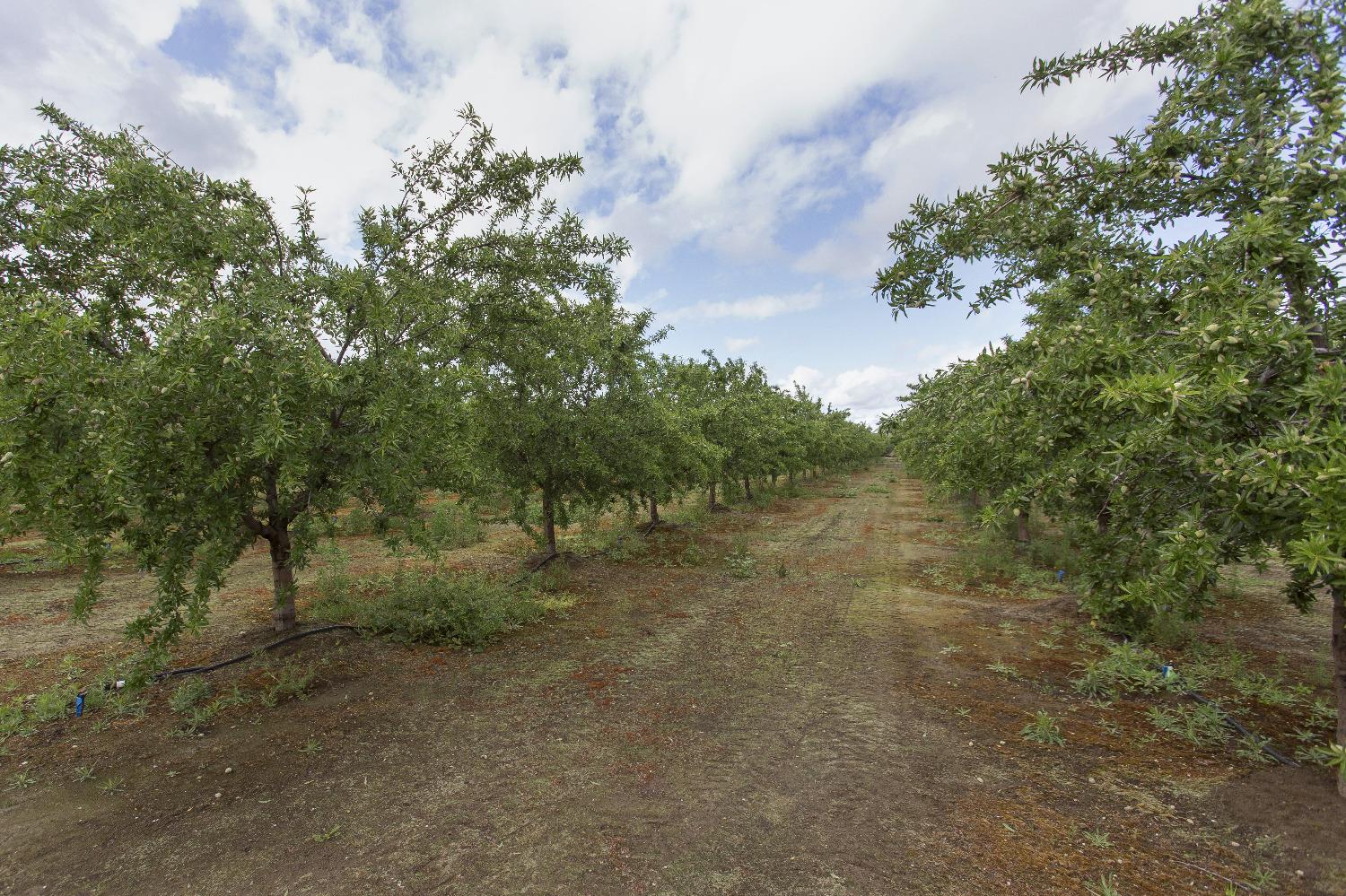 Detail Gallery Image 83 of 89 For 13247 Vineyard Road, Waterford,  CA 95386 - 5 Beds | 4 Baths