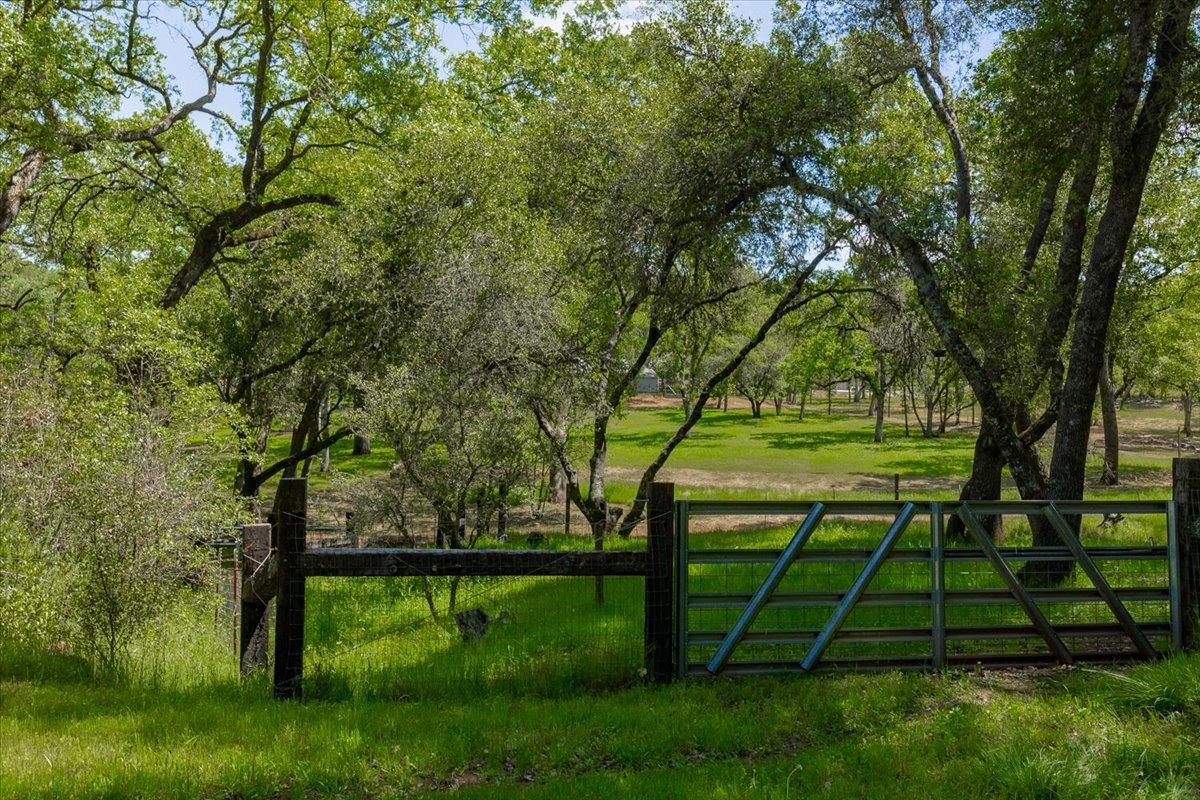 Fawn Street, Shingle Springs, California image 48