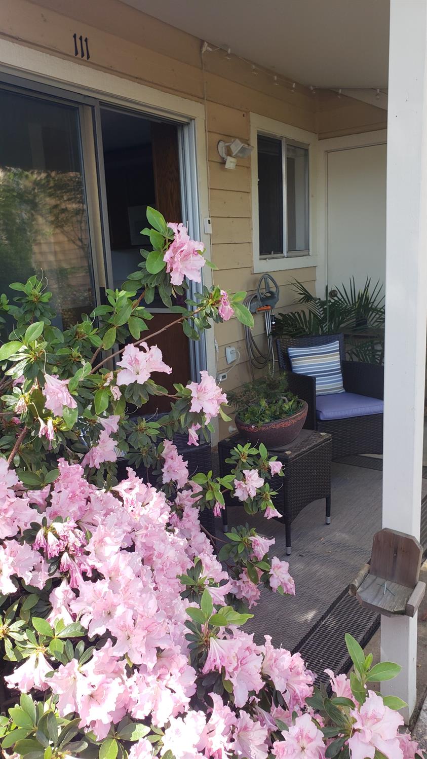 Fair Oaks Boulevard #111, Fair Oaks, California image 32