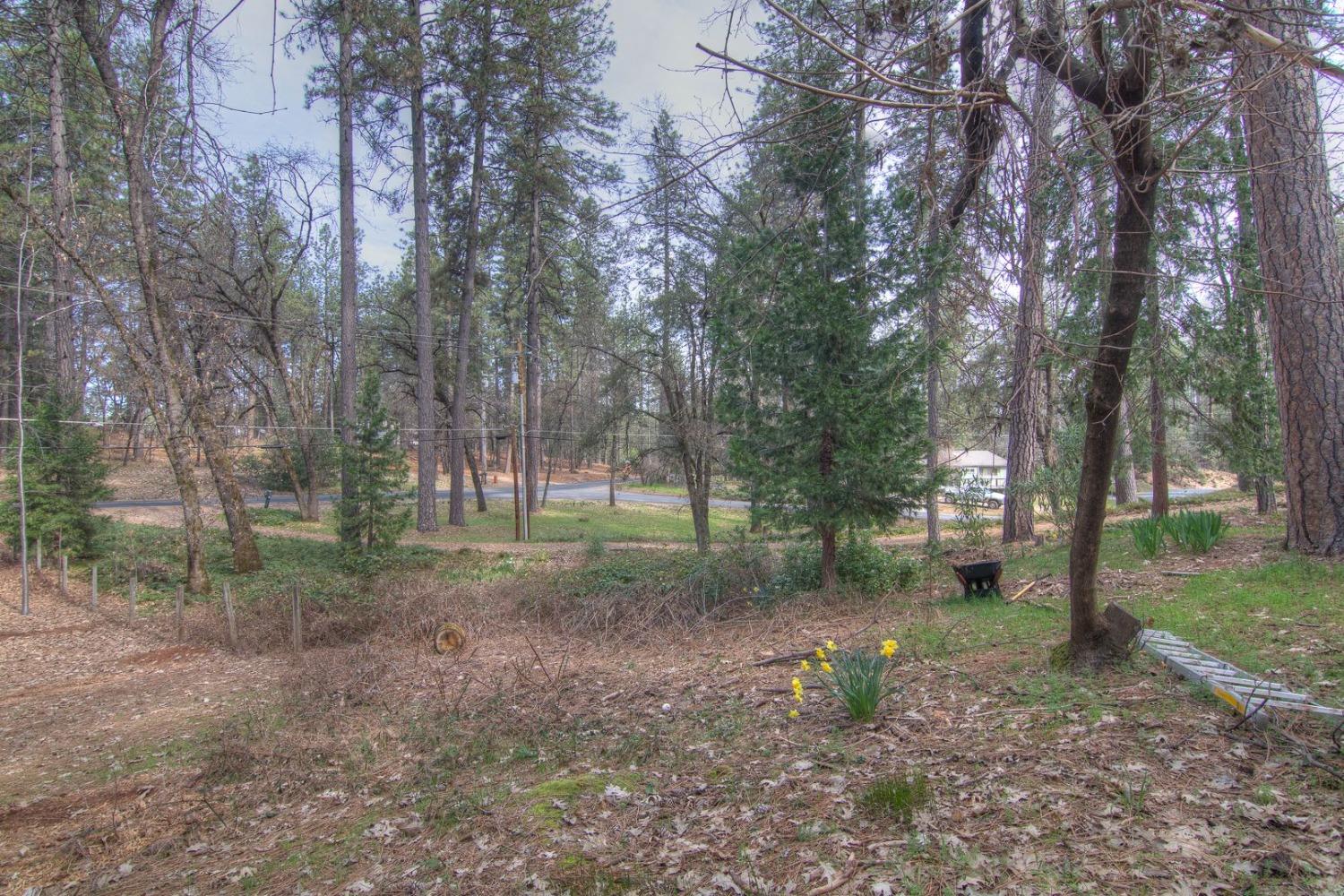 Rattlesnake Road, Grass Valley, California image 22