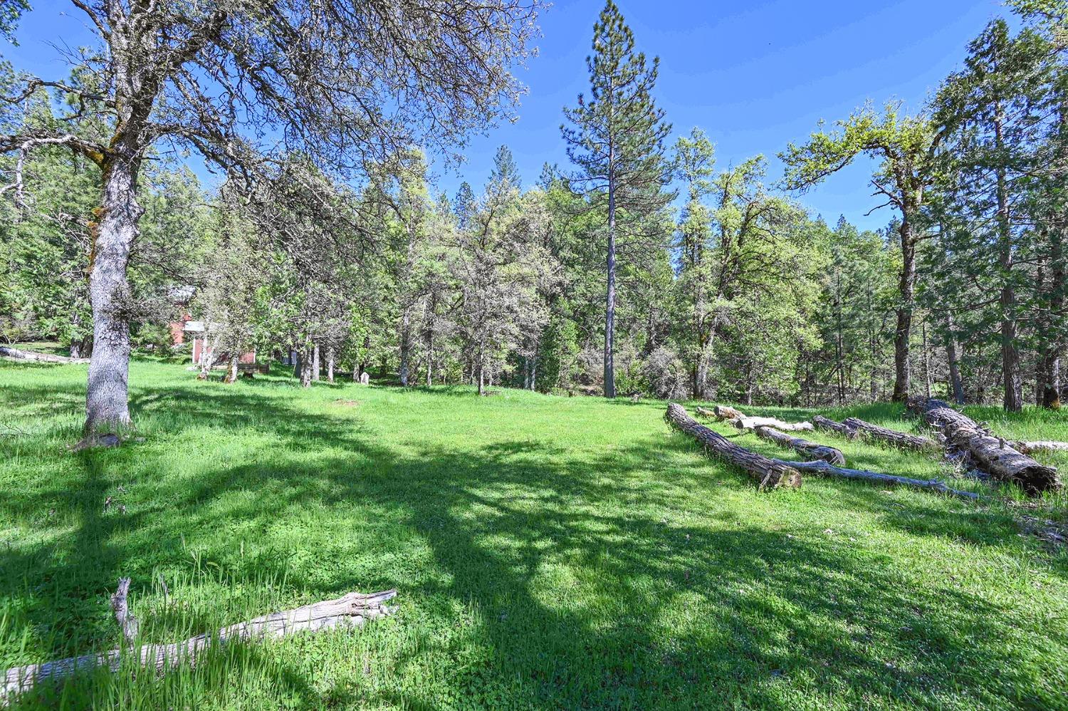Empire Creek Circle, Georgetown, California image 48