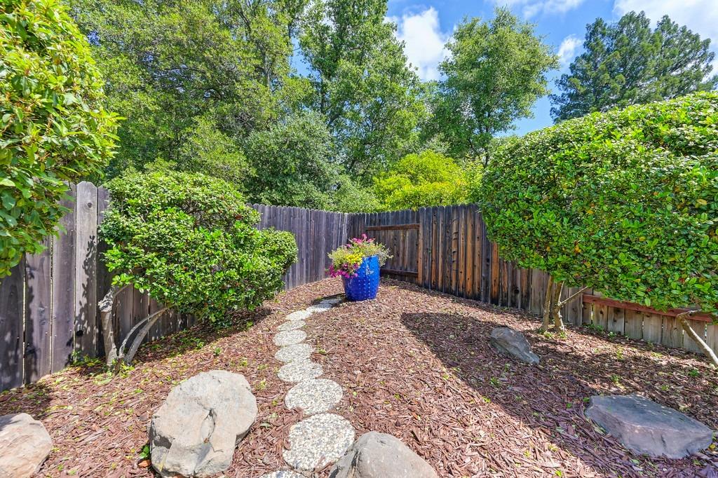 Sidesaddle Way, Roseville, California image 50