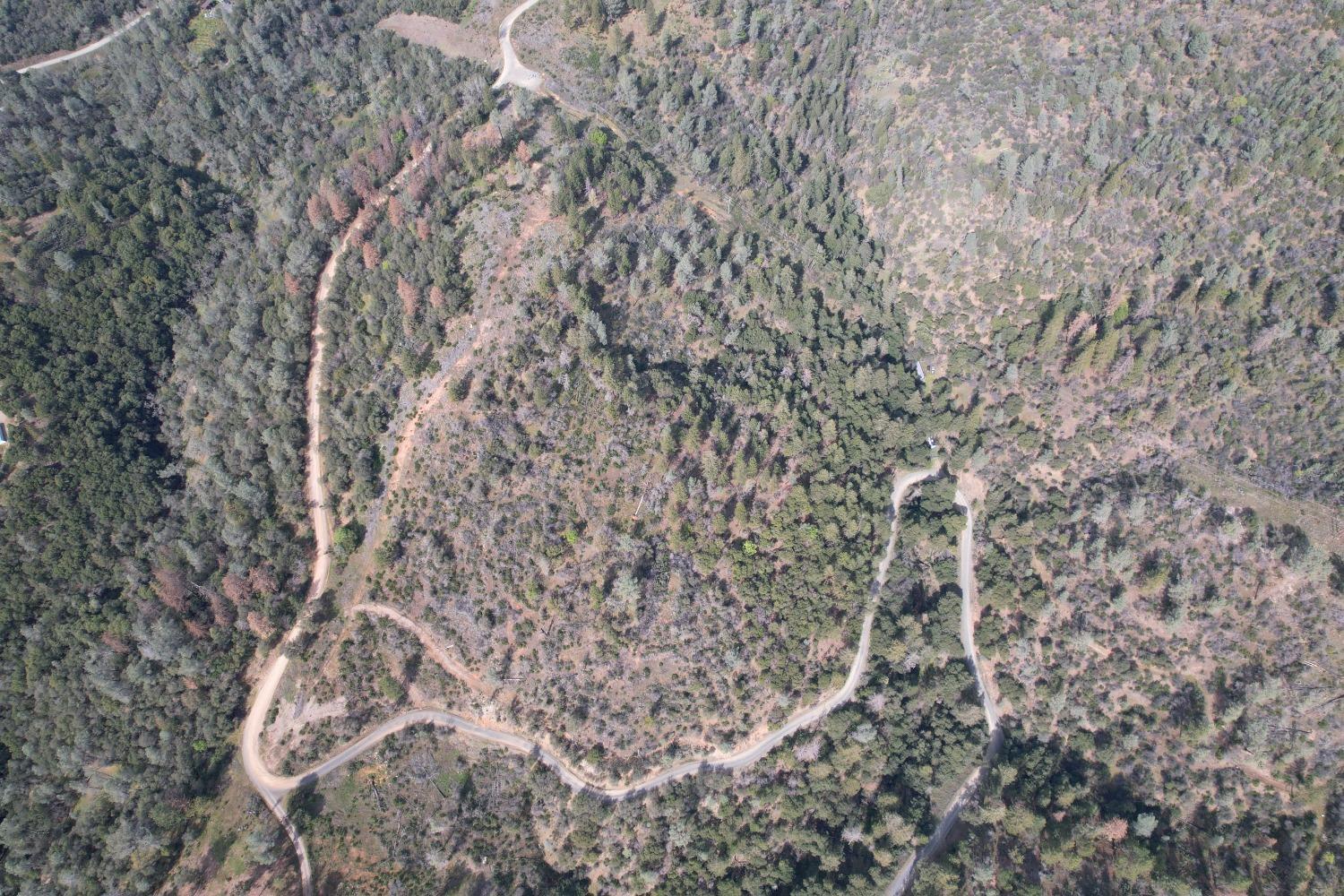 0 Lower Gulch Road, Oroville, California image 15