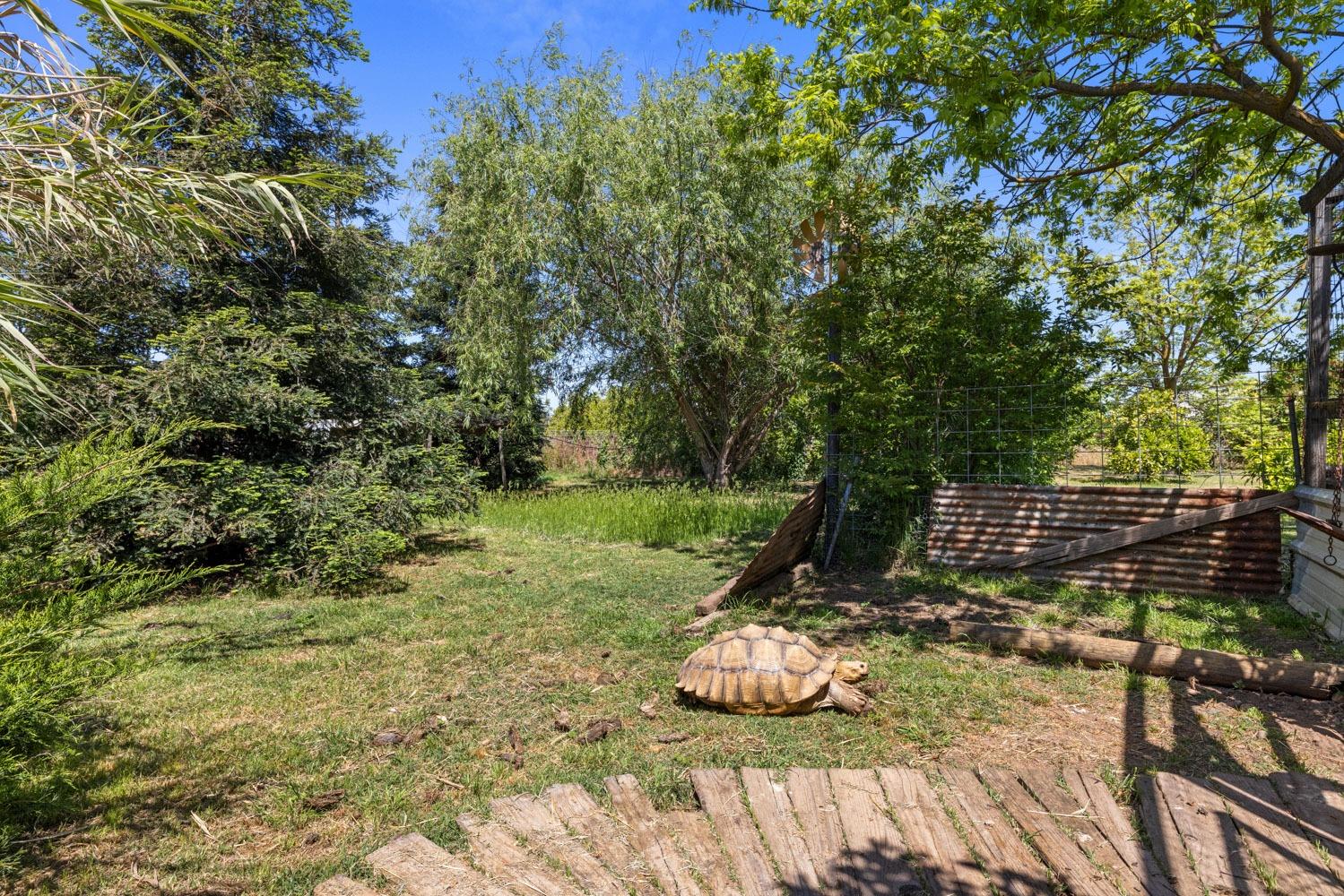 N Graham Road, Acampo, California image 40