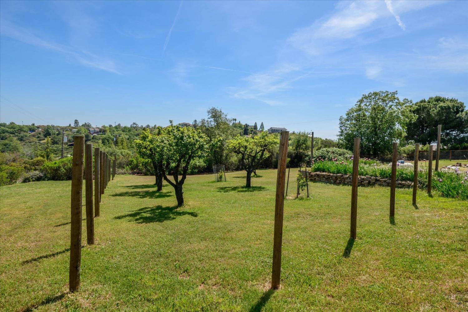 Detail Gallery Image 60 of 70 For 3610 Loma Dr, Shingle Springs,  CA 95682 - 4 Beds | 2/1 Baths