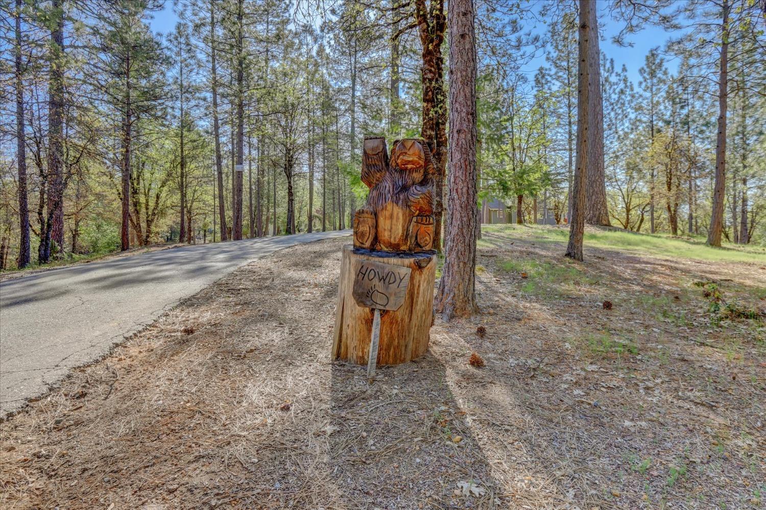 Detail Gallery Image 60 of 80 For 12673 Hoppy Hollow Rd, Grass Valley,  CA 95945 - 4 Beds | 3/1 Baths