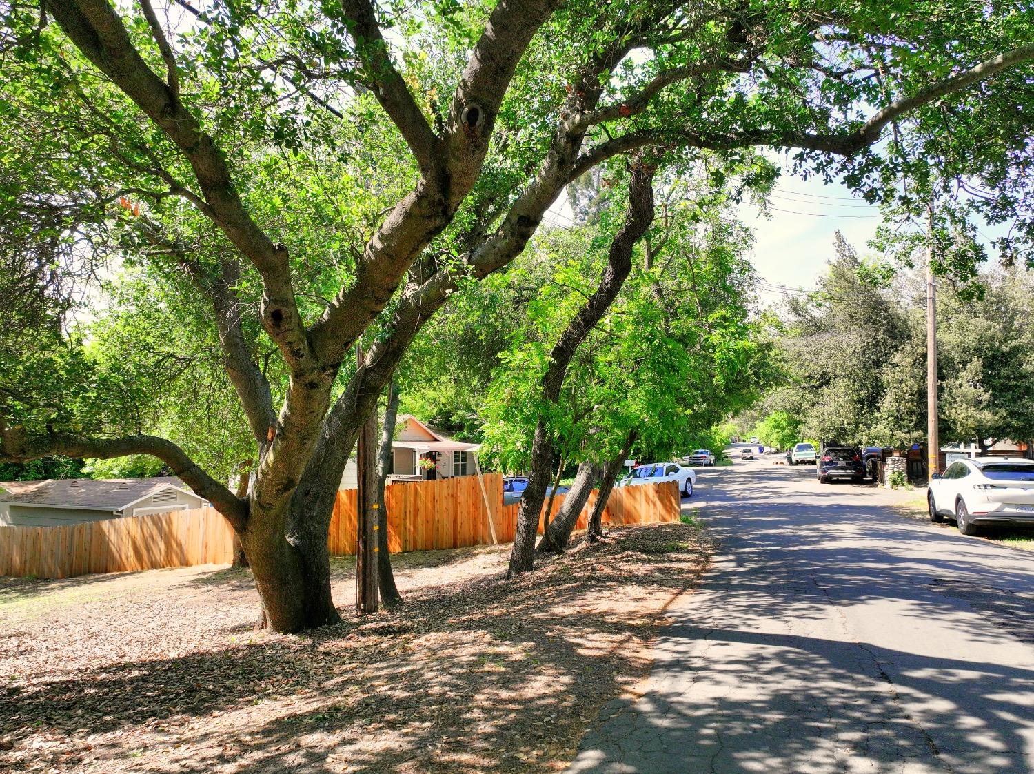 Ridge Street, Fair Oaks, California image 4