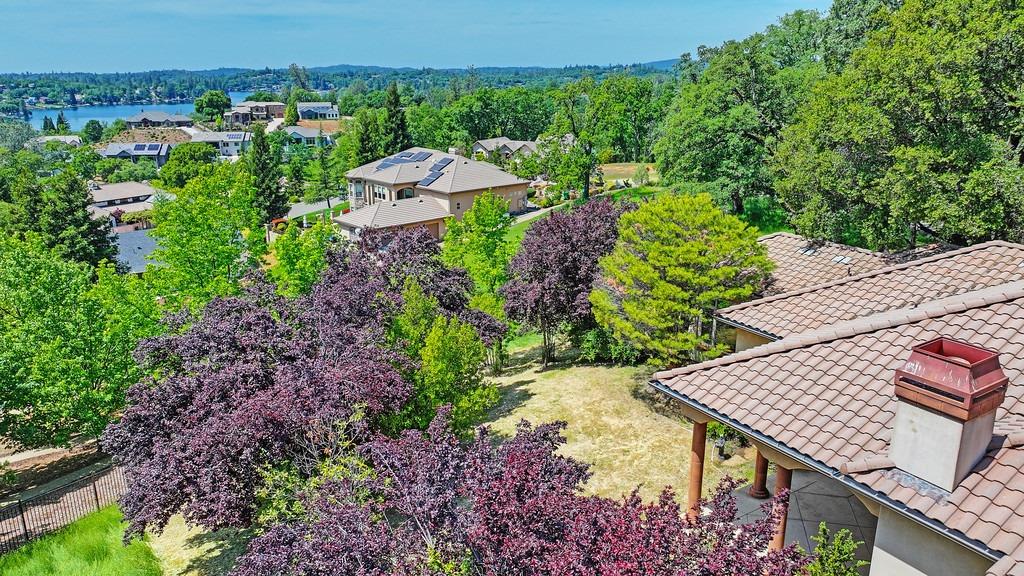Austin Forest Circle, Auburn, California image 49