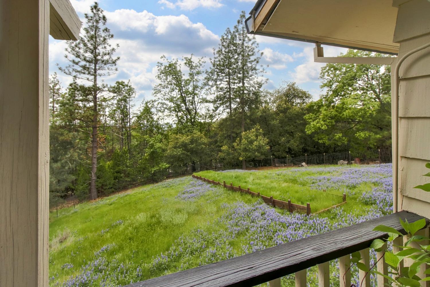 Hilltop Court, Pine Grove, California image 34