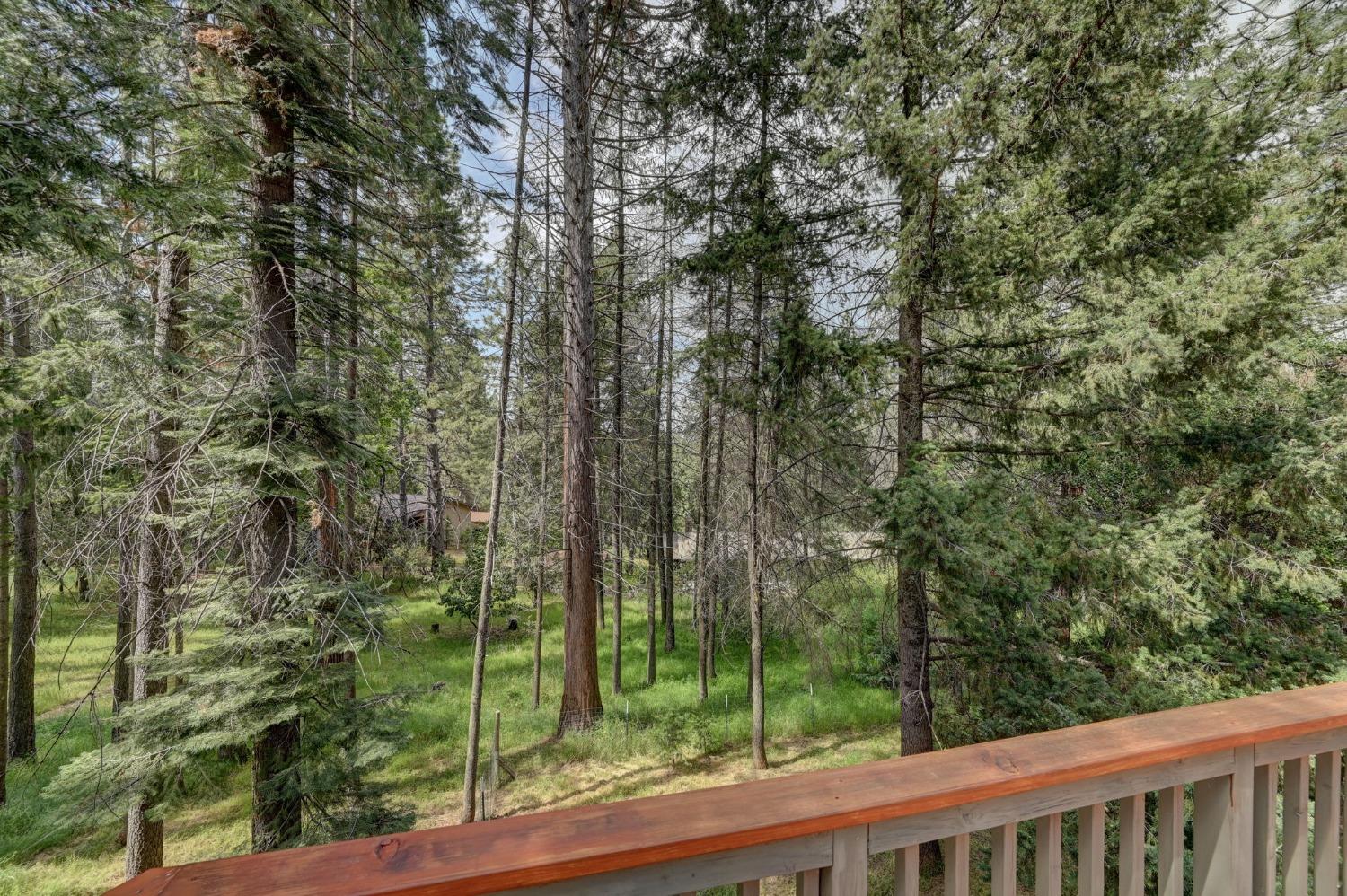 Marc Drive, Pine Grove, California image 38