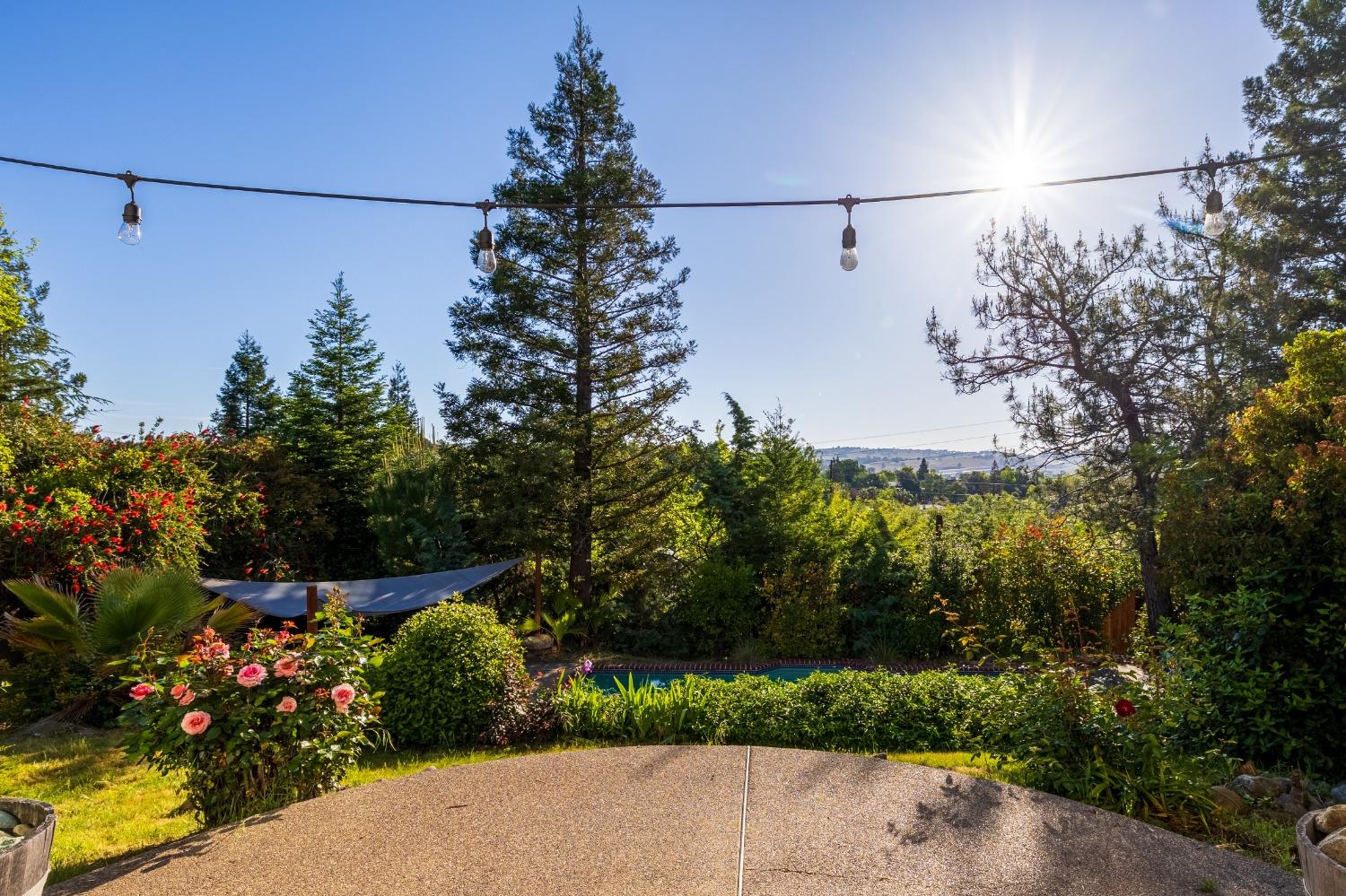 Platt Circle, El Dorado Hills, California image 3