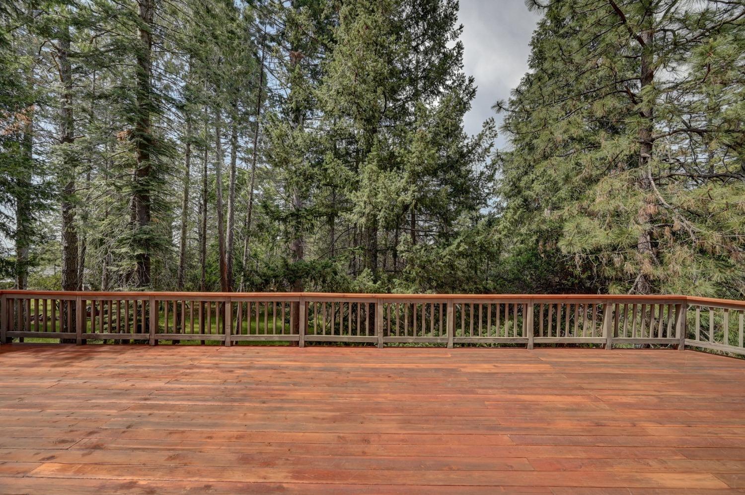 Marc Drive, Pine Grove, California image 8