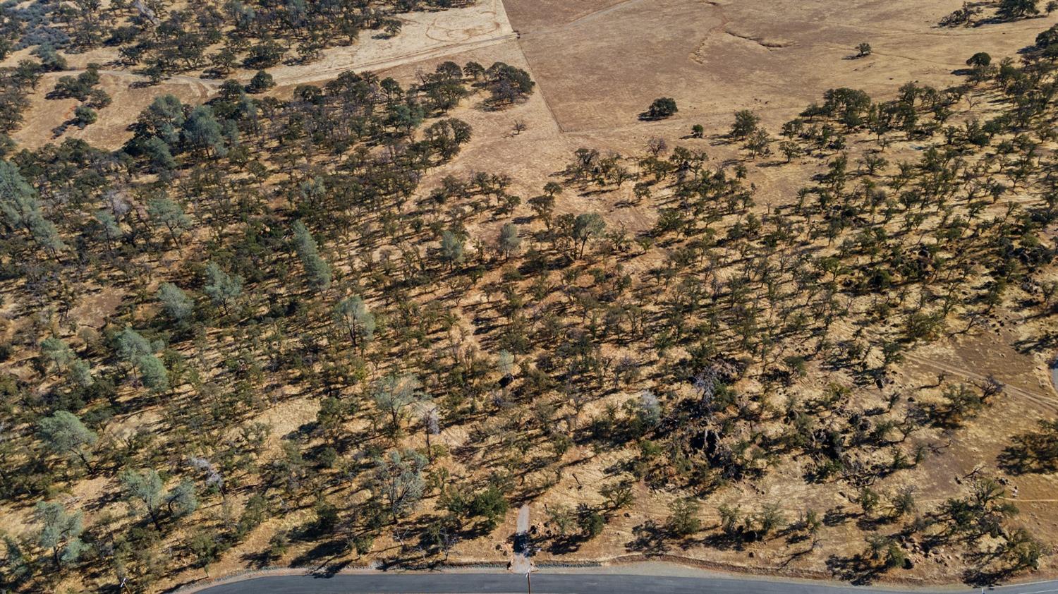 Hammonton Bluff Parcel 8, Smartsville, California image 11