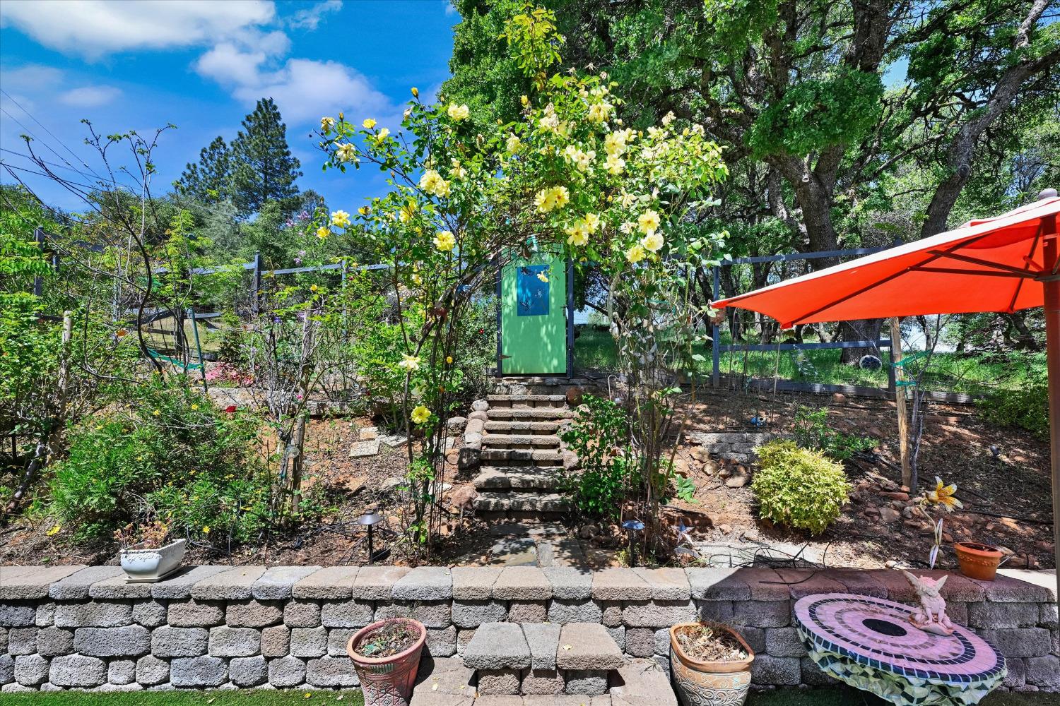 Patricia Way, Grass Valley, California image 8