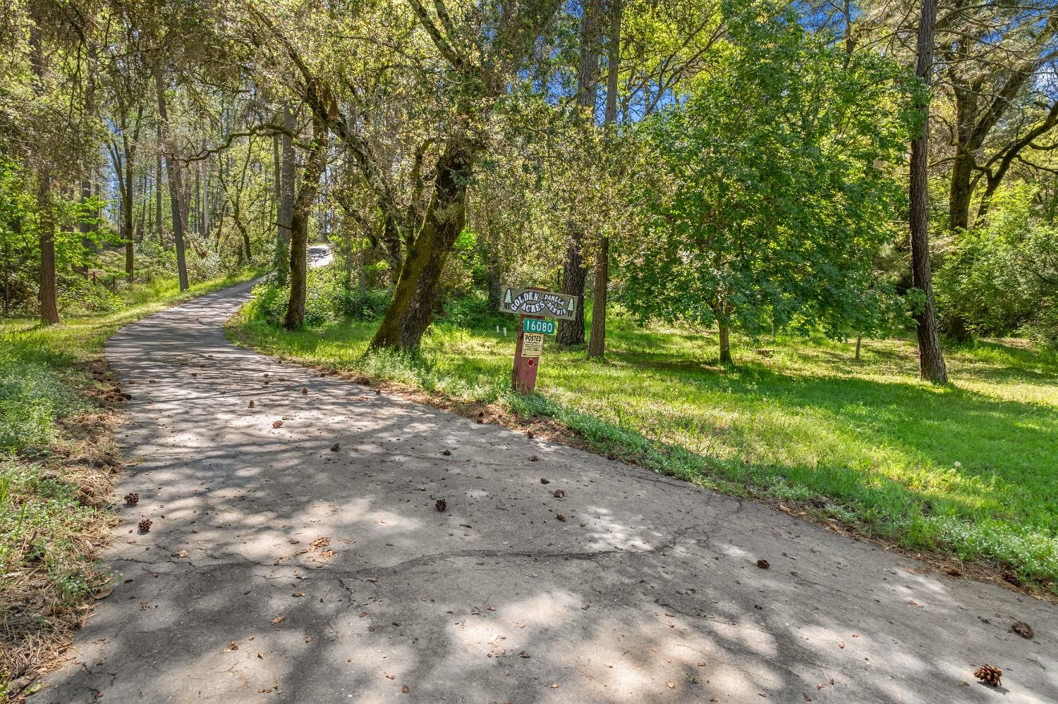 Detail Gallery Image 10 of 79 For 16080 Mount Whitney Dr, Fiddletown,  CA 95629 - 3 Beds | 2 Baths