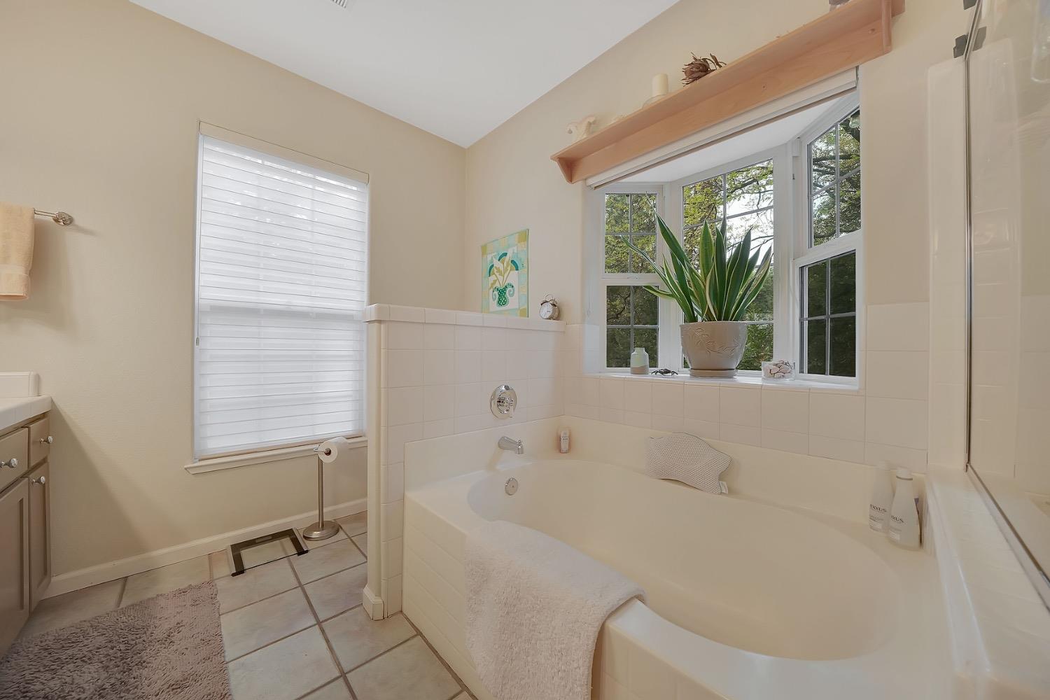 Detail Gallery Image 45 of 88 For 18860 Sylvia Dr, Pine Grove,  CA 95665 - 3 Beds | 2/1 Baths