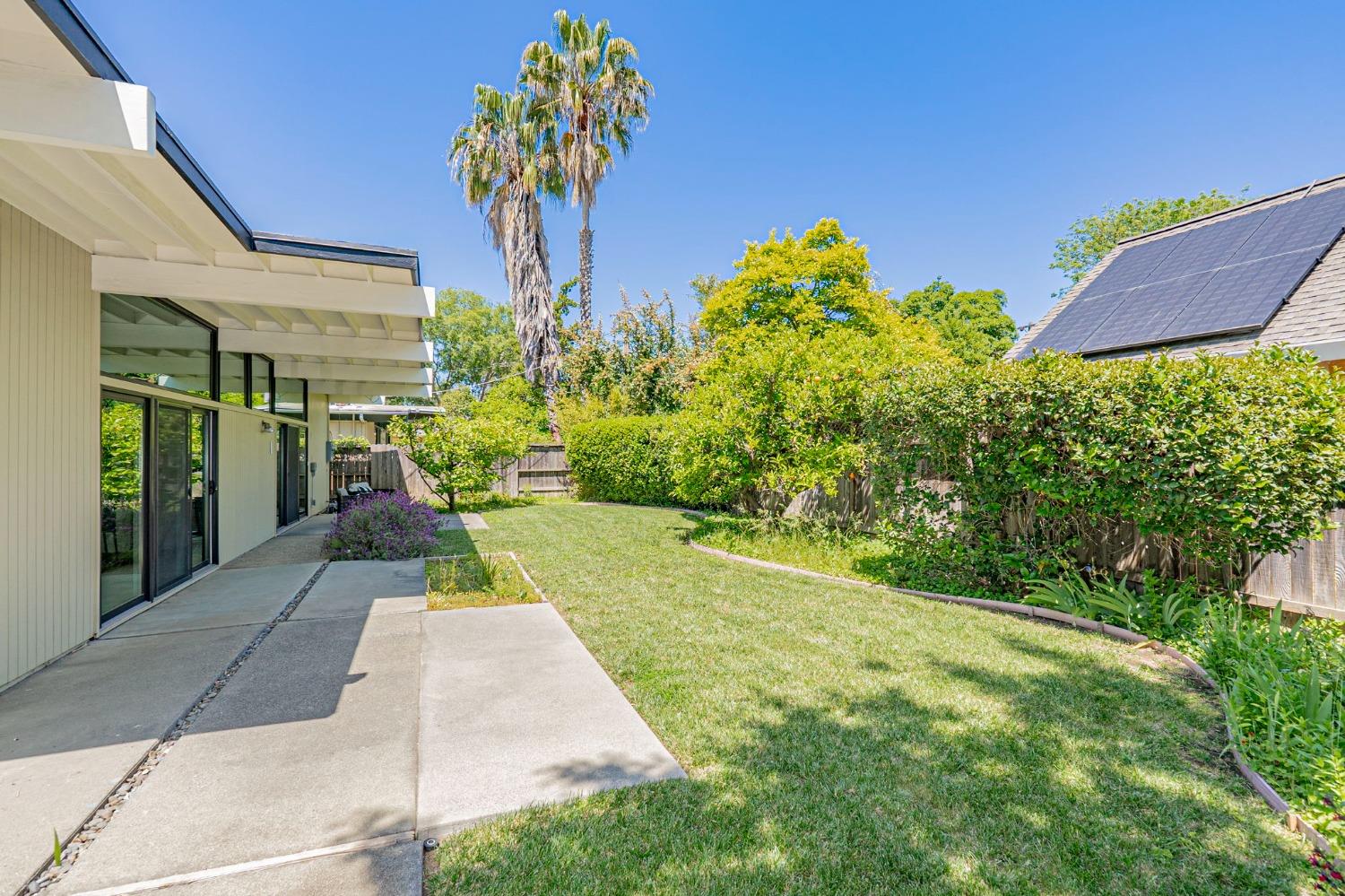 Pine Lane, Davis, California image 27
